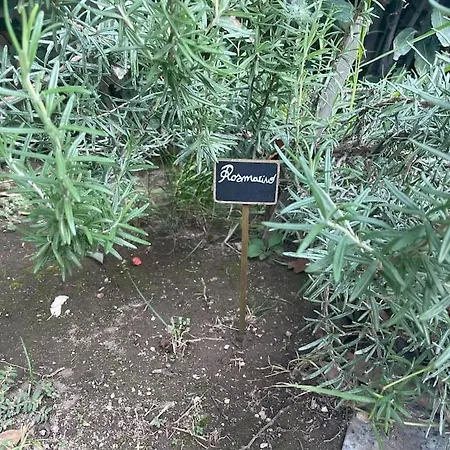 Piacevole Oasi Di Benessere Nei Vostri Viaggi Holiday home Nola