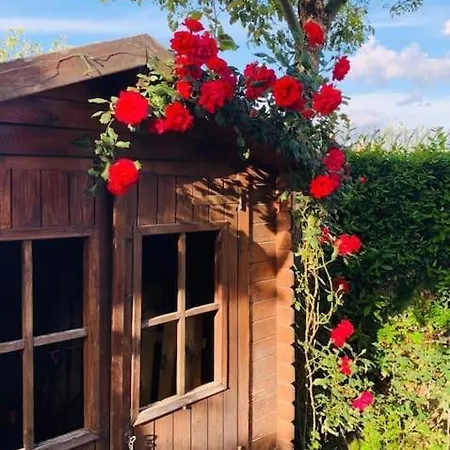 Piacevole Oasi Di Benessere Nei Vostri Viaggi Nola