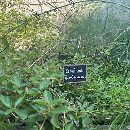 Piacevole Oasi Di Benessere Nei Vostri Viaggi Holiday home