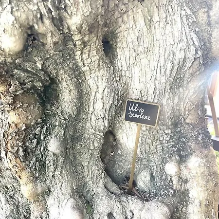 Piacevole Oasi Di Benessere Nei Vostri Viaggi Nola